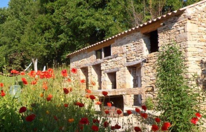 Parisot  Le Mas De Carrie Bed & Breakfast エクステリア 写真