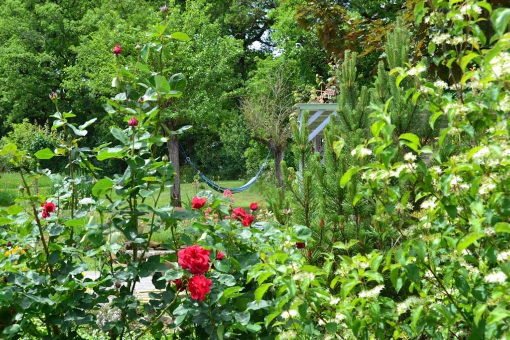 Parisot  Le Mas De Carrie Bed & Breakfast エクステリア 写真